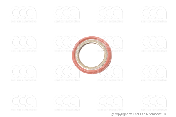 O-ringen / O-ring sets Seal washer Ford  21 x 13 x 2 mm  (1 st)